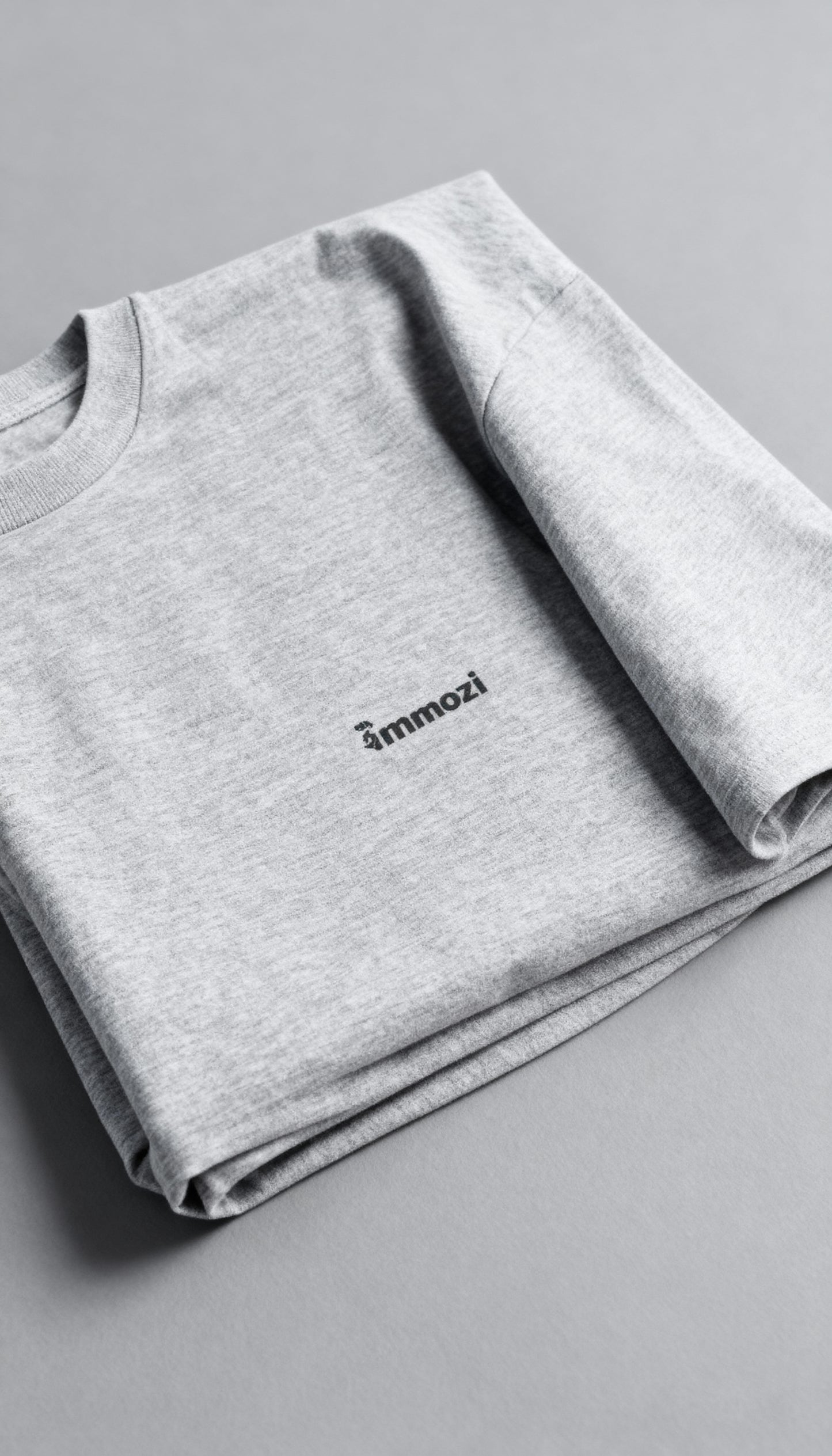 Standard Unisex Oversized  T-Shirt Gray - EMMOZI